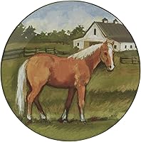 Vista 3 de Certified International York Stables - Platos llanos de 10.5 pulgadas, juego de 4