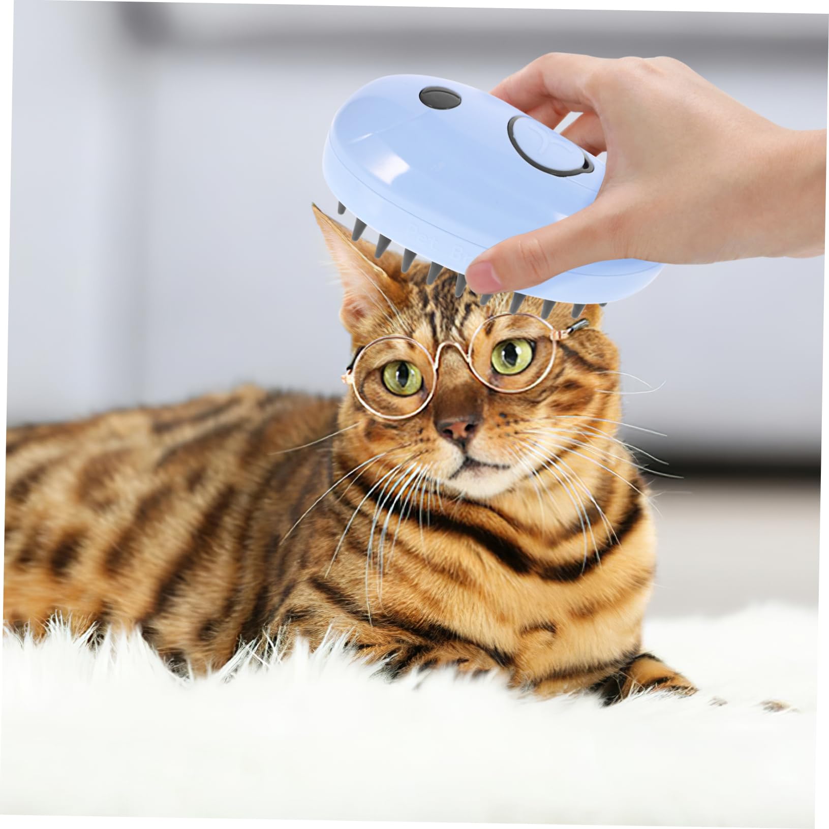 Sosoport 4stücke Selbstreinigende Dampfbürste Für Katzen Multifunktionale Massagebürste Zur Entfernung Von Verfilztem Fell Ergonomisches Design Für Einfache Handhabung Langlebiges