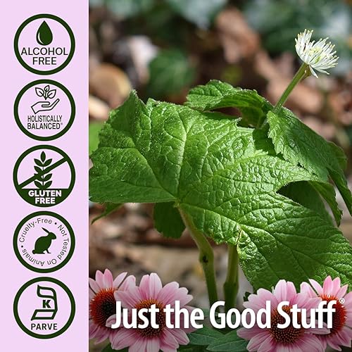 Miniatura 5 de Nature's Answer Extracto líquido de equinácea y sello de oro, gotas sin alcohol, 1 onza Promueve el bienestar general Refuerzo inmunológico