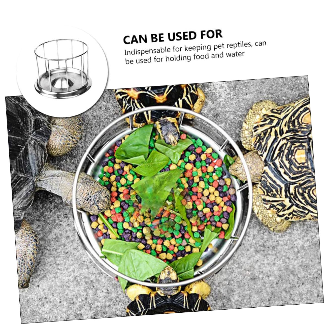 Mangiatoia per Tartarughe Design Pratico in Acciaio Inossidabile, Ciotola Rotonda Antiruggine per Cibo e Acqua per Rettili