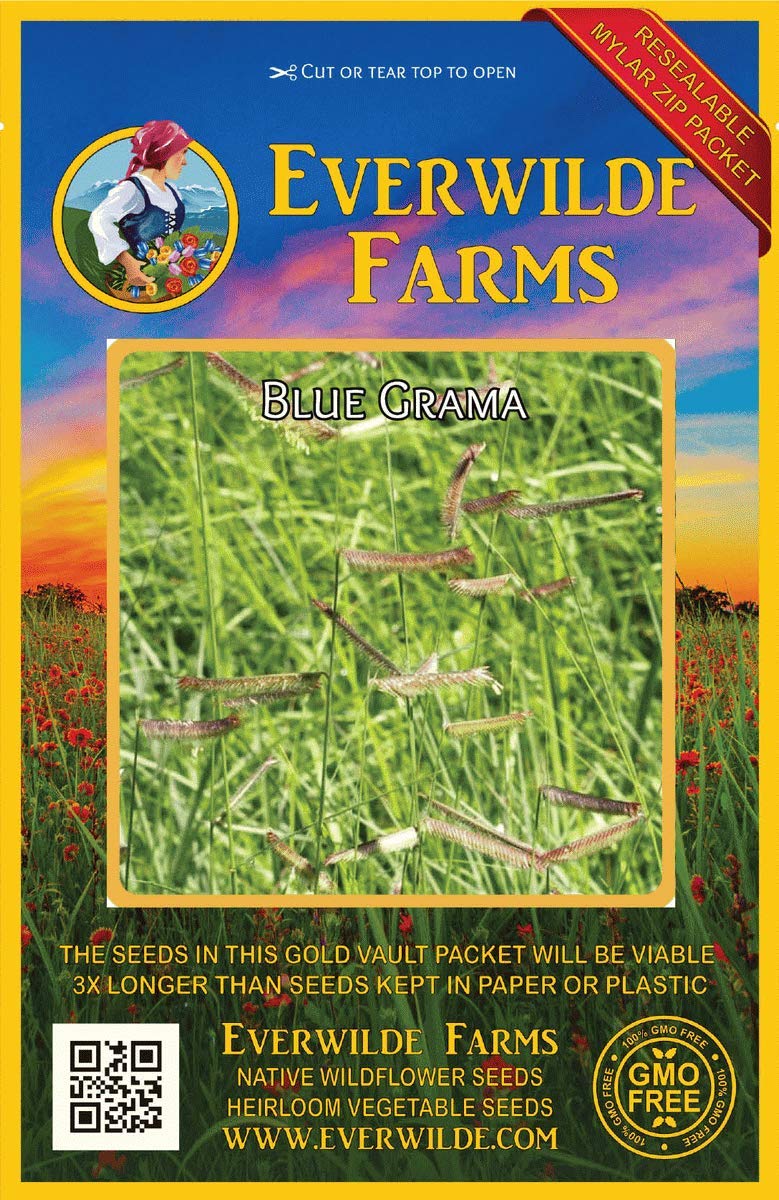 Buy Everwilde Farms 1000 Blue Grama Native Grass Gold Vault Jumbo