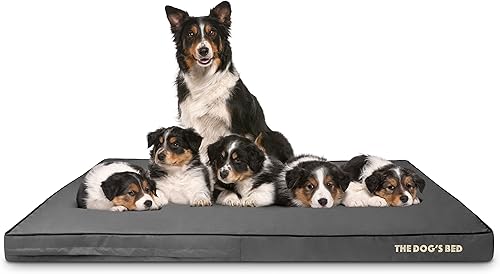 Miniatura 94 de The Dog's Bed - Cama ortopédica de espuma viscoelástica para perro, grande gris y negro, impermeable, cama de apoyo con fundas reemplazables, negro