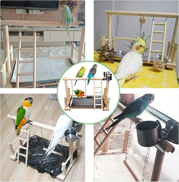 RoseFlower Supporto per Uccelli in Legno, Parco Giochi/Palestra/Set di Giocattoli, Trespolo per Pappagalli, Supporto per Pappagallo Portatile da Tavolo, con Posatoi, Scale, Altalena, Vassoio #4 - 2