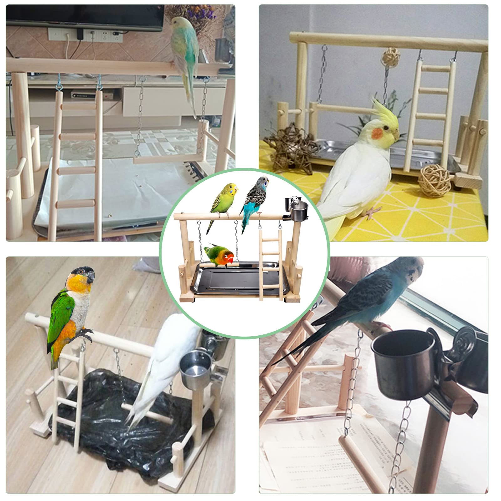 RoseFlower Supporto per Uccelli in Legno, Palestra per Pappagallo Portatile da Tavolo con Posatoi e Scale