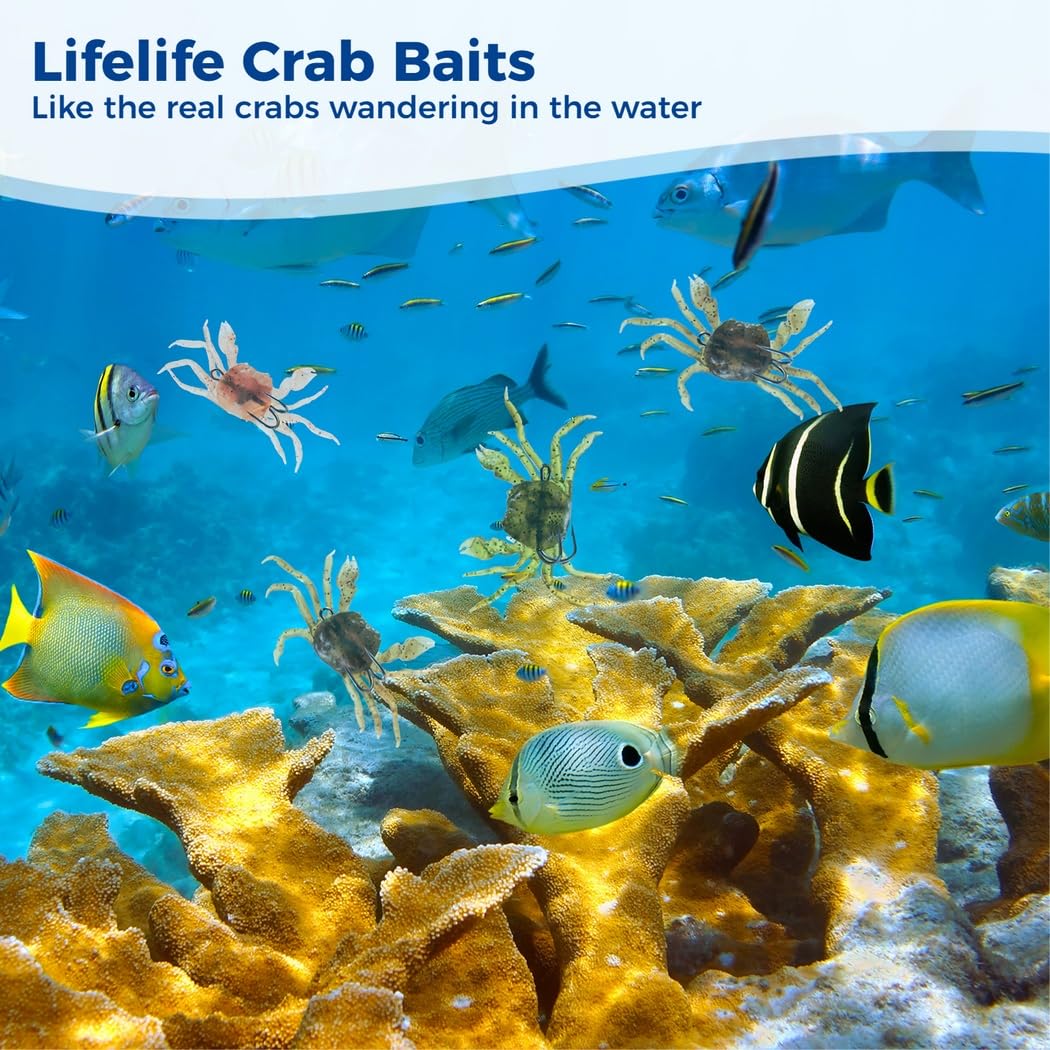Lot de 10 leurres crabes artificiels, leurres Souples en Simulation 3D avec hameçons Pointus, Accessoire de pêche en mer et en Eau Douce, appât réaliste pour étang et rivière