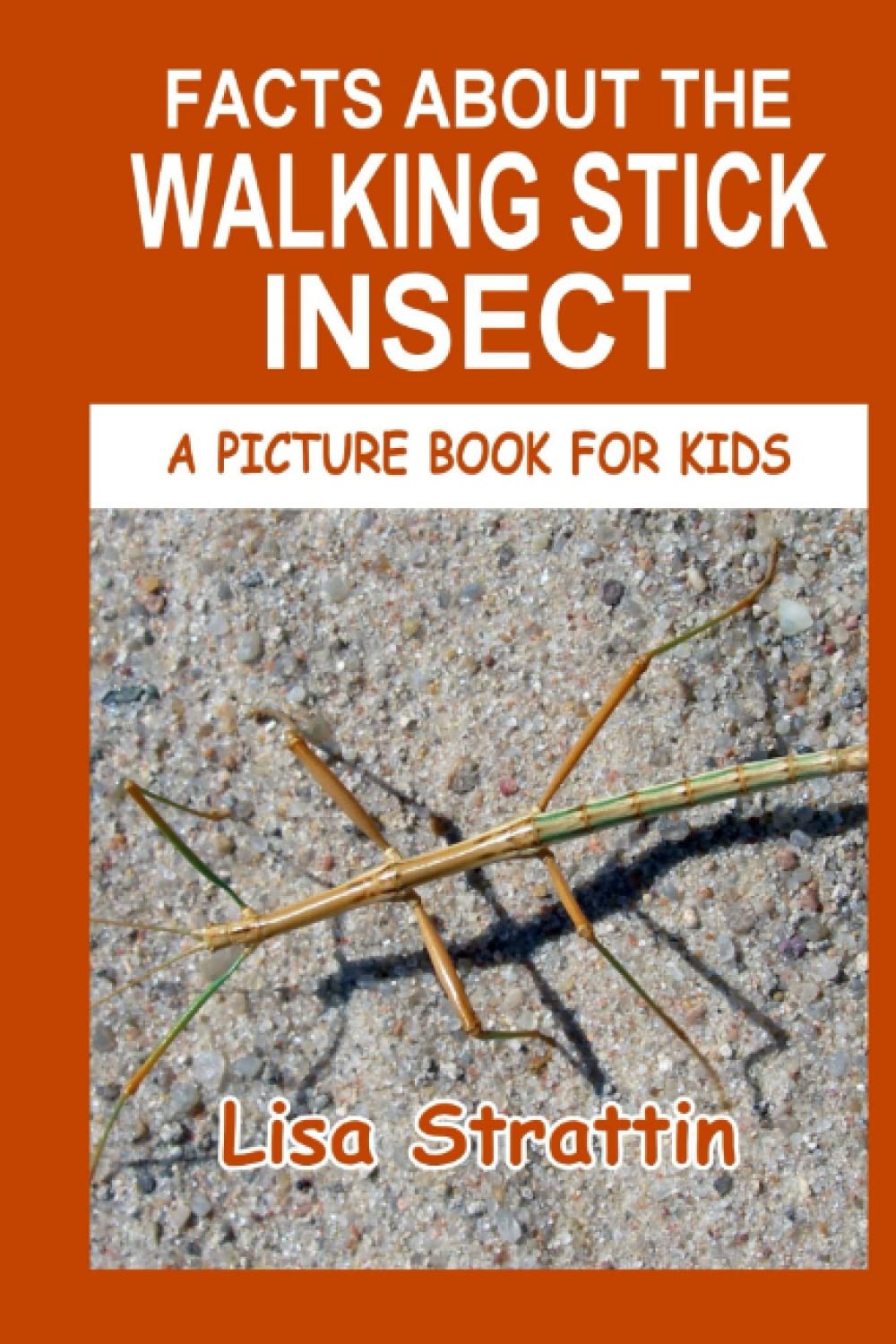 Facts About The Walking Stick Insect (A Picture Book For Kids)