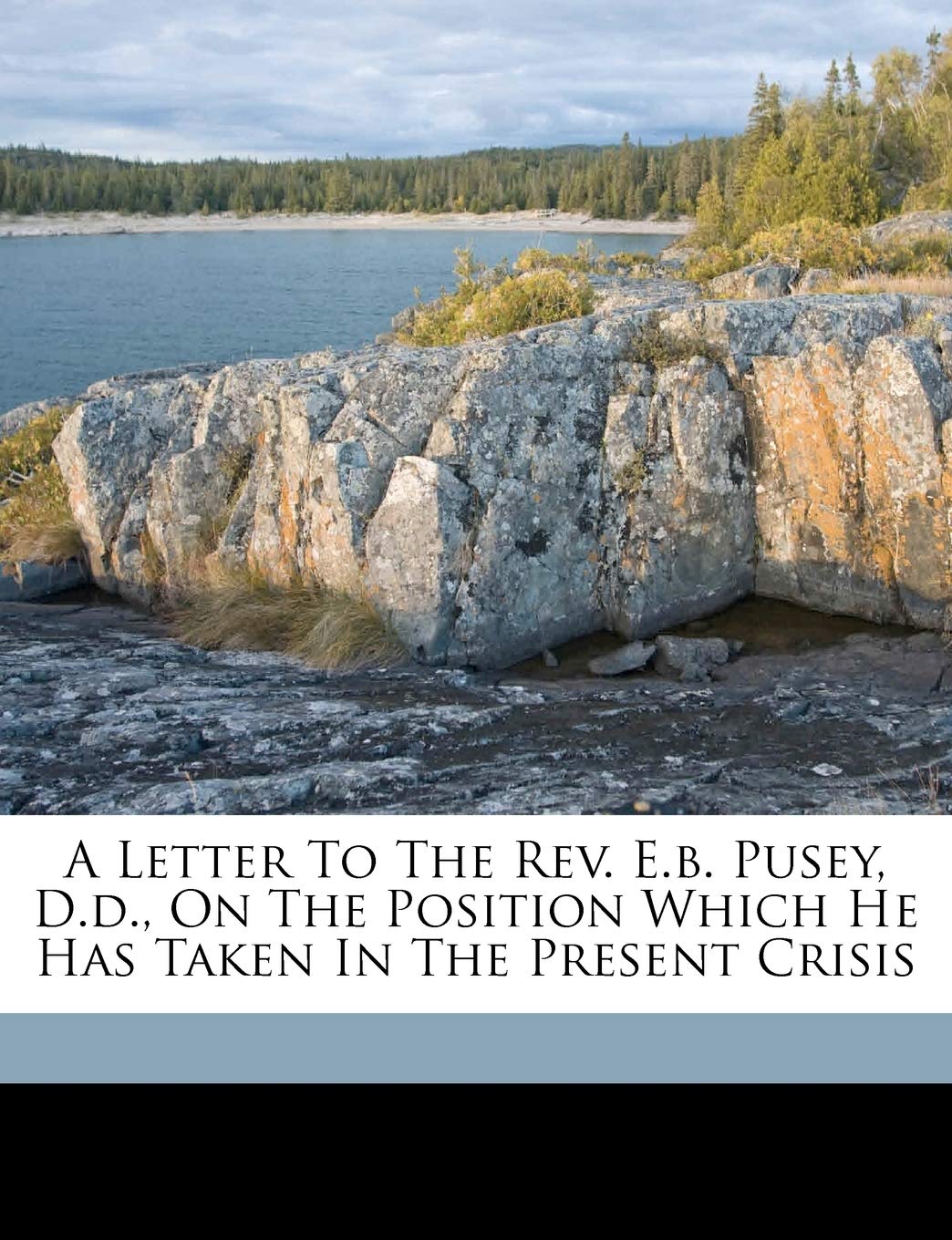 A Letter to the REV. E.B. Pusey, D.D., on the Position Which He Has Taken in the Present Crisis