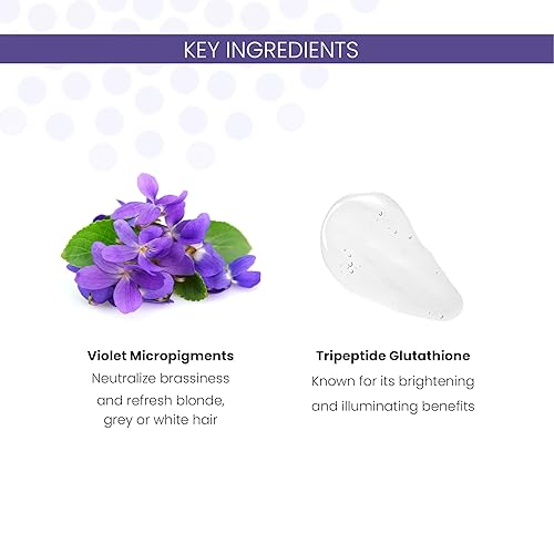 Miniatura 7 de ALOXXI Champú violeta  Champú morado para cabello rubio  Ilumina y elimina instantáneamente los tonos amarillos cobrizos en cabello rubio, blanco y