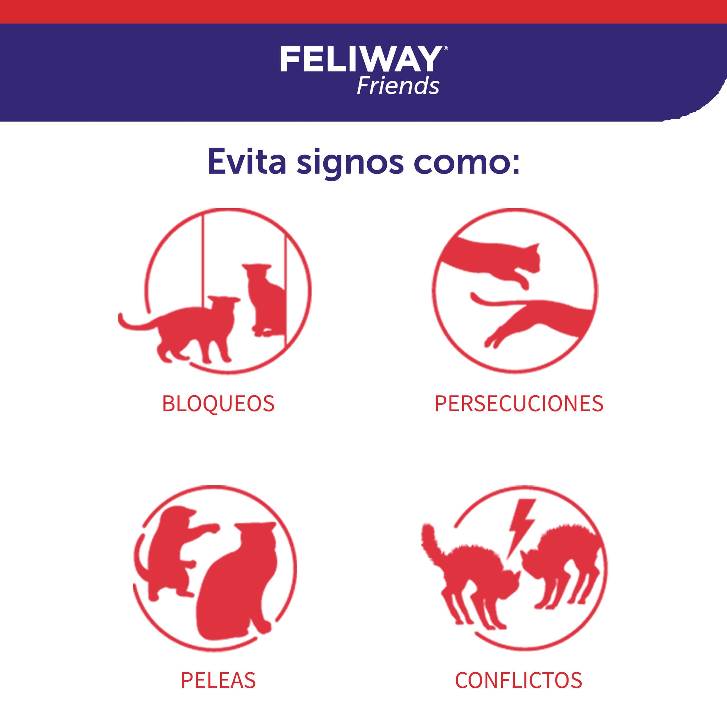 Feliway Friends Ricarica, 48 ml, 3 pezzi
