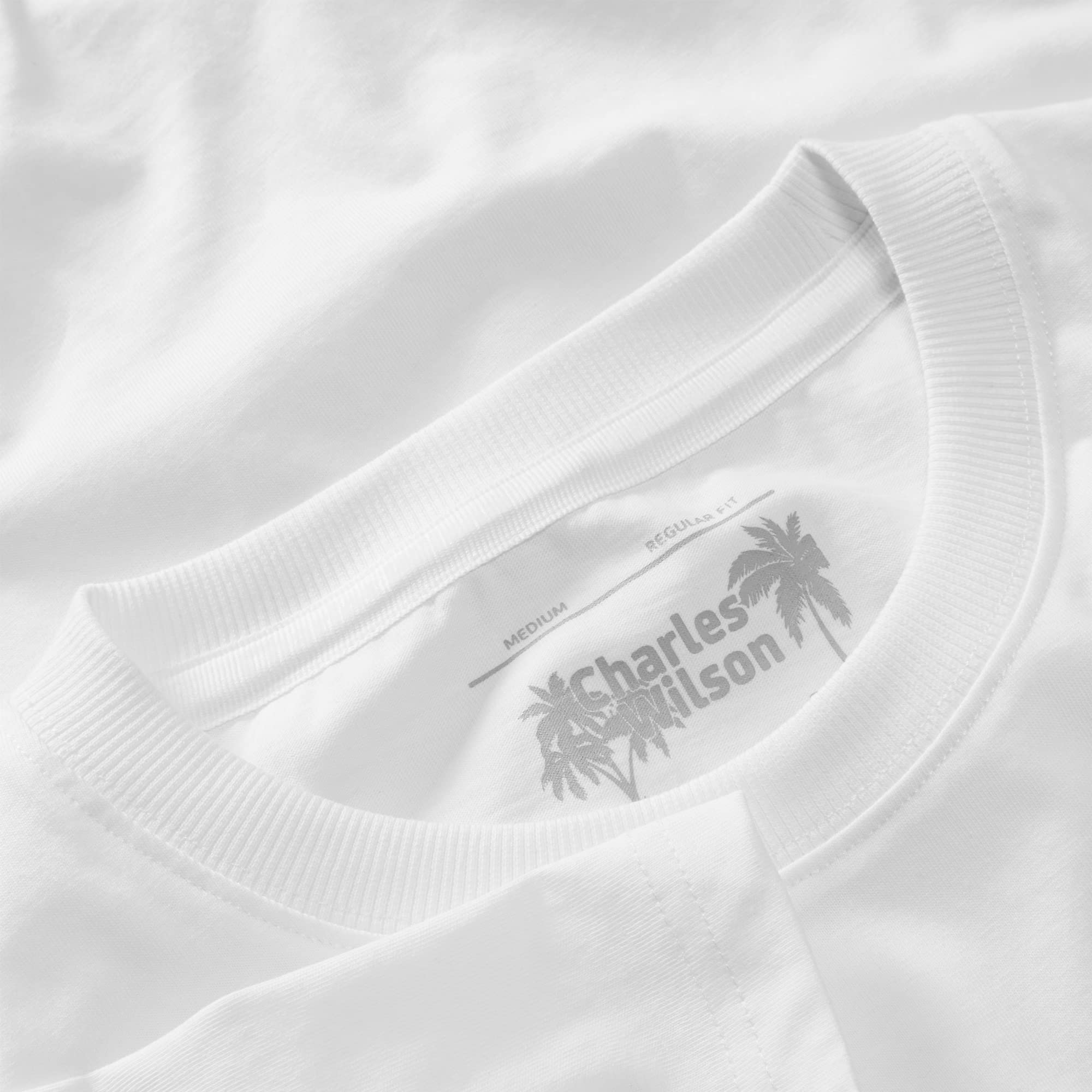 Charles Wilson 5er Packung Einfarbige T-Shirts mit Rundhalsausschnitt