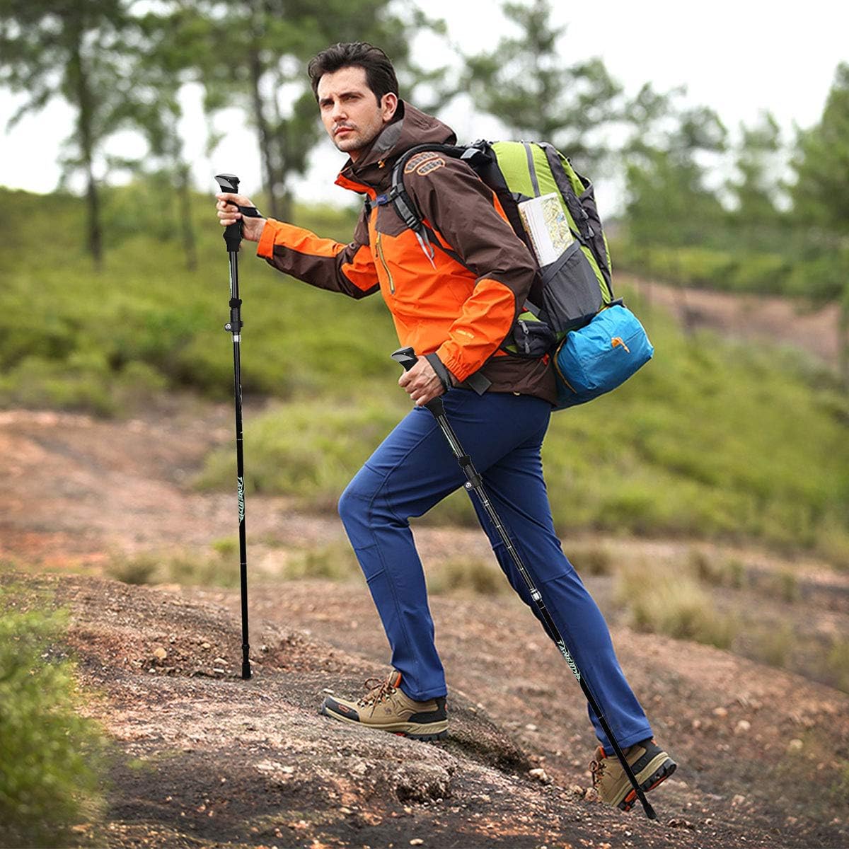 市場 Covacure ステッキ 2本セット 登山ストック 軽量 トレッキングポール アルミ製 市場 Covacure ステッキ 2本セット 登山ストック 軽量 トレッキングポール アルミ製