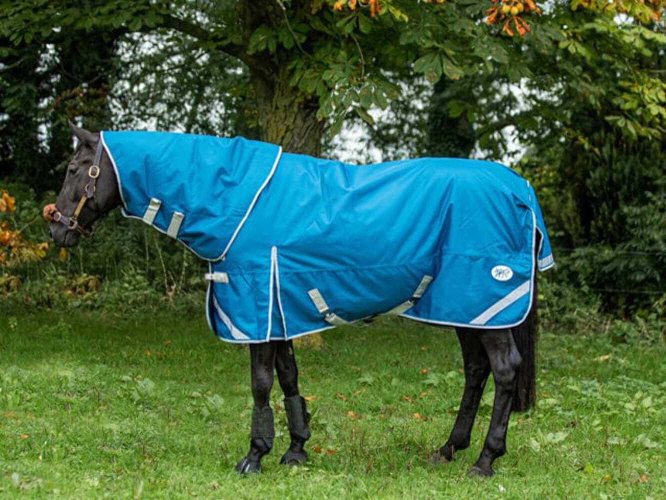 Swish Equestrian 100g Detachable Neck Turnout Rug - Turquoise