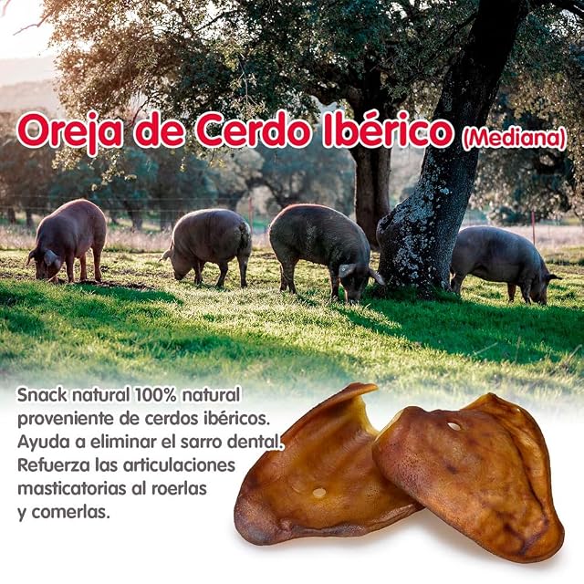 Foto 4 de 4 de ARQUIVET - Oreja de Cerdo ibérico Grande - (Bolsa 30 Unidades) - Snacks Naturales para Perros