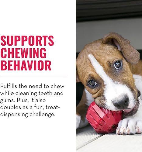 Vista 10 de Juguete para perros Stuff-A-Ball de Kong, M, Rojo