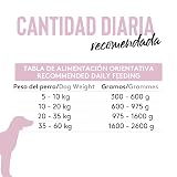 Ver la foto 7