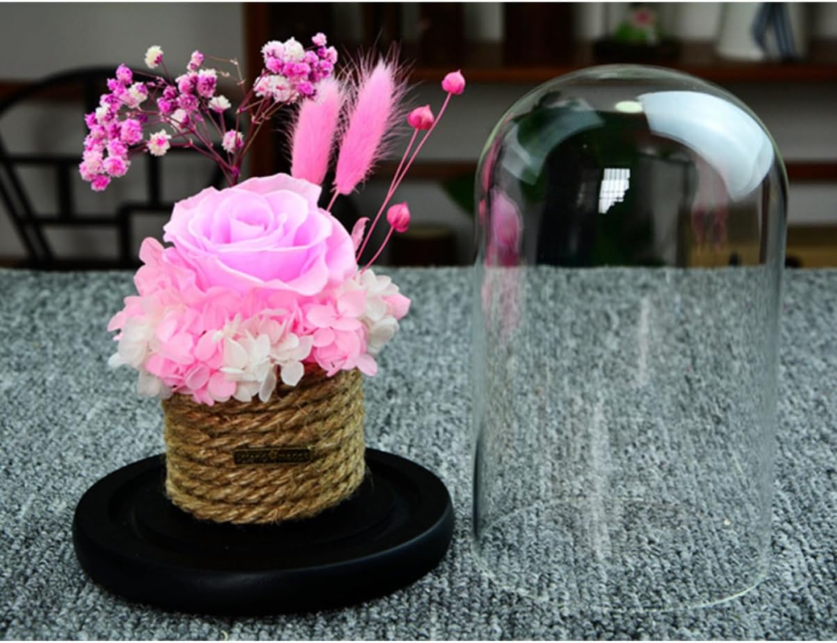 Romantic Preserved Rose Dome Box Elegant Glass Cover for Valentine Day Mother Day Christmas Eternal Flower Arrangement Rose Keepsake for Loved