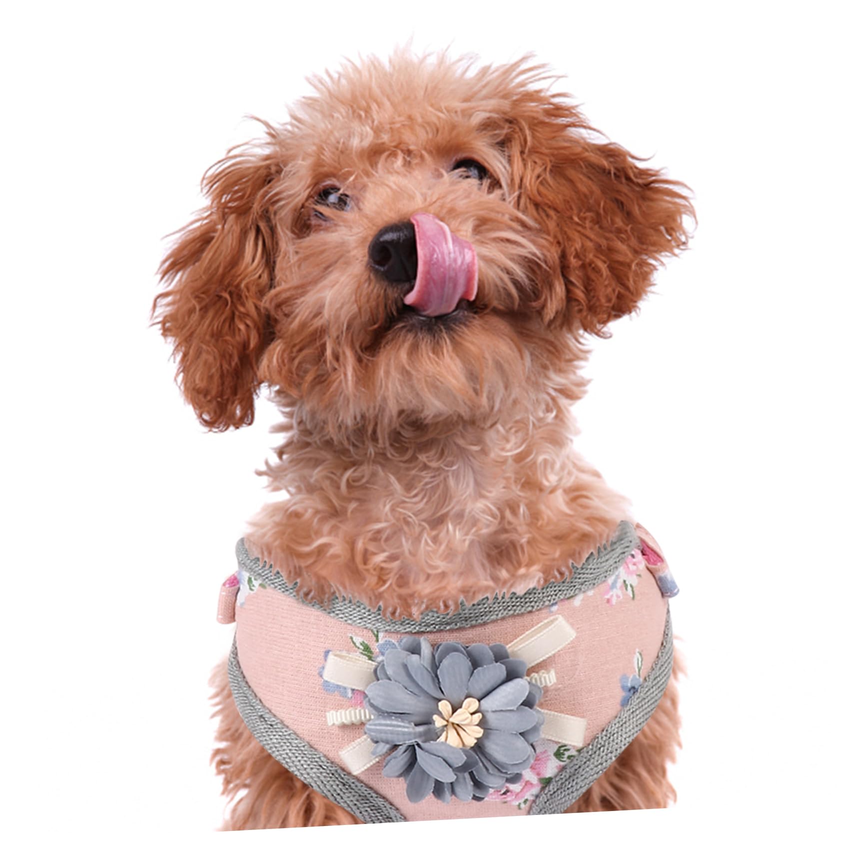 Beavorty 3 Set Set Gilet Medio Per Cani Set Design Floreale Set Per Animali Domestici E Guinzaglio Comodo Protettore Toracico Per Cani