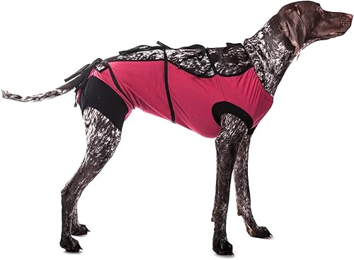 Miniatura 6 de E-Collar Alternativo para mascotas Para después de cirugía. Recomendado por veterinarios, XXS