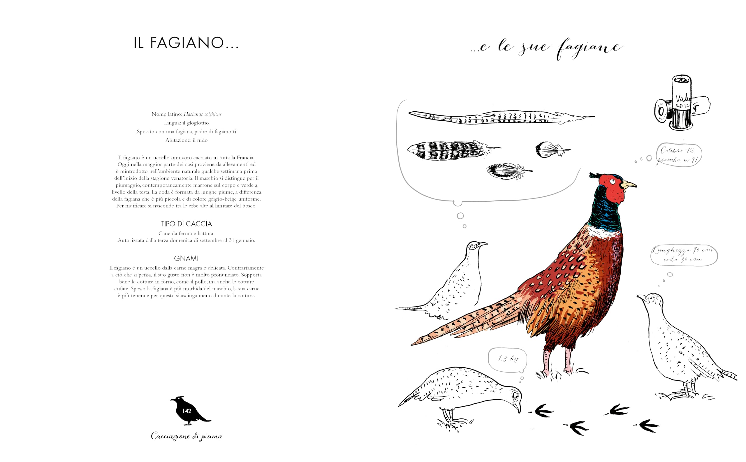 Cacciagione di pelo e di piuma