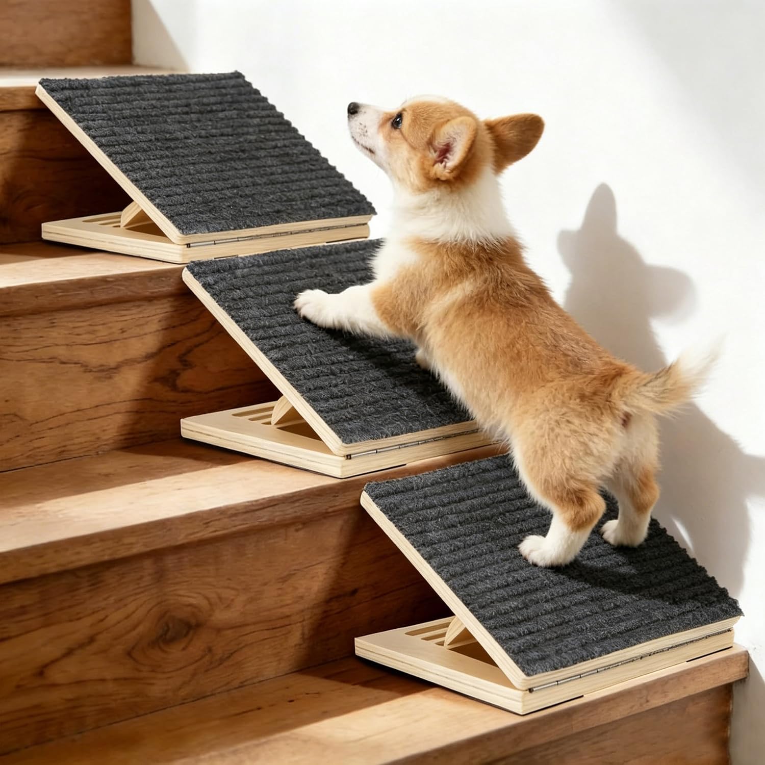 Rampa para Perros de Madera con Superficie Antideslizante de Alfombra – Rampa Inclinada Baja para Perros Pequeños, Escaleras, Peldaños y como Apoyo para Mascotas Lesionadas o Mayores (3)