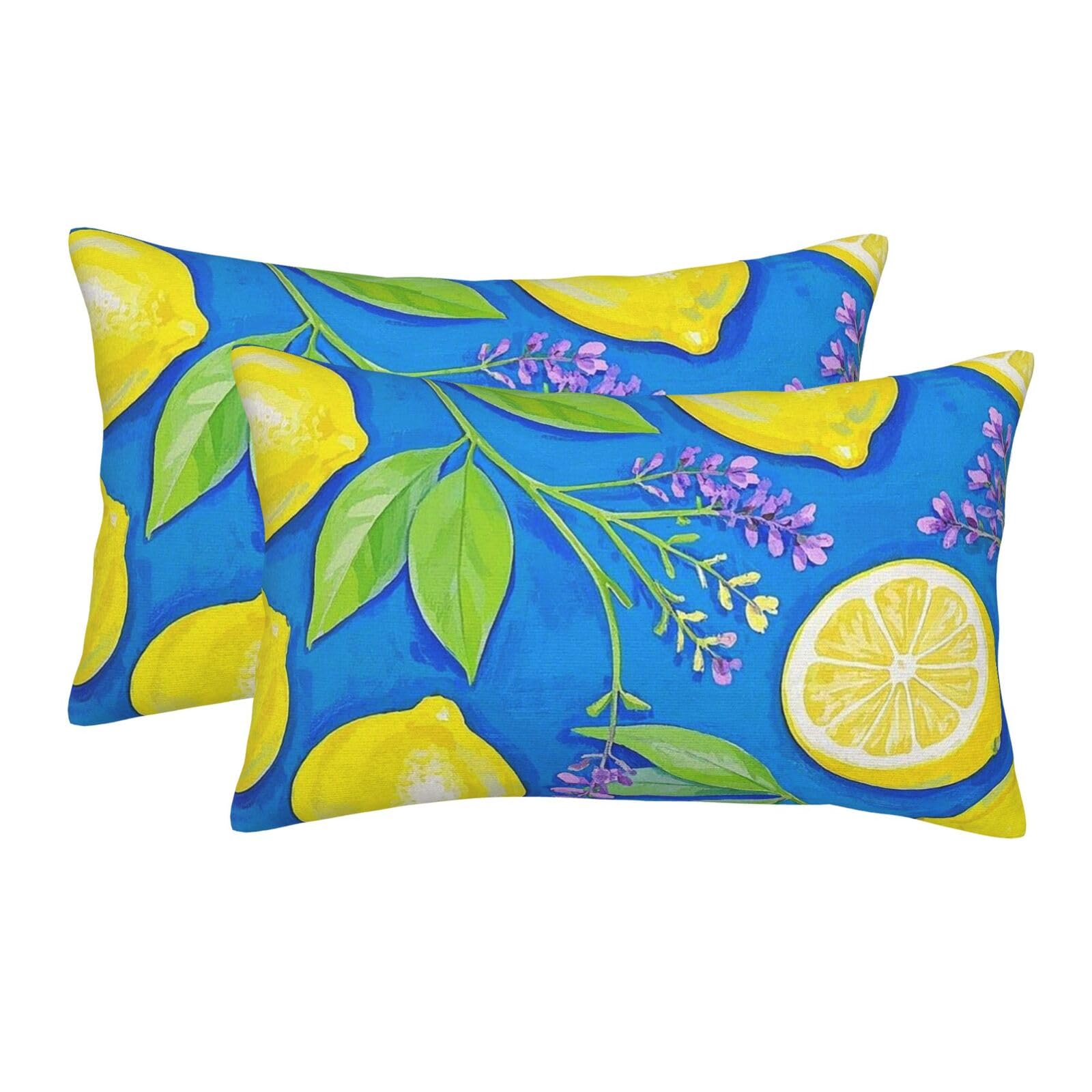 2 Pack Standard Size Pillow Cases for Hair and Skin Soft Breathable Pillow Case Covers with Hidden Zipper Lemon Blue Yellow Boho Pillowcase 16"x24" Pillow Cover for Sleeping Gift