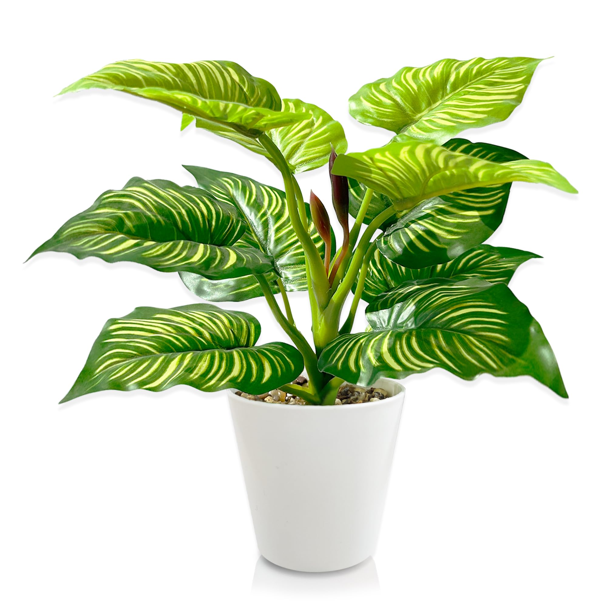 Amazon.de: TINA Knstliche Pflanzen Klein wie echt 28cm Kunstpflanze  Plastik Pflanze Deko Zimmerpflanzen Knstlich Dekopflanzen Grnpflanzen  Fake Plant fr Badezimmer Wohnzimmer Innen- u Auenbereich (Typ B)