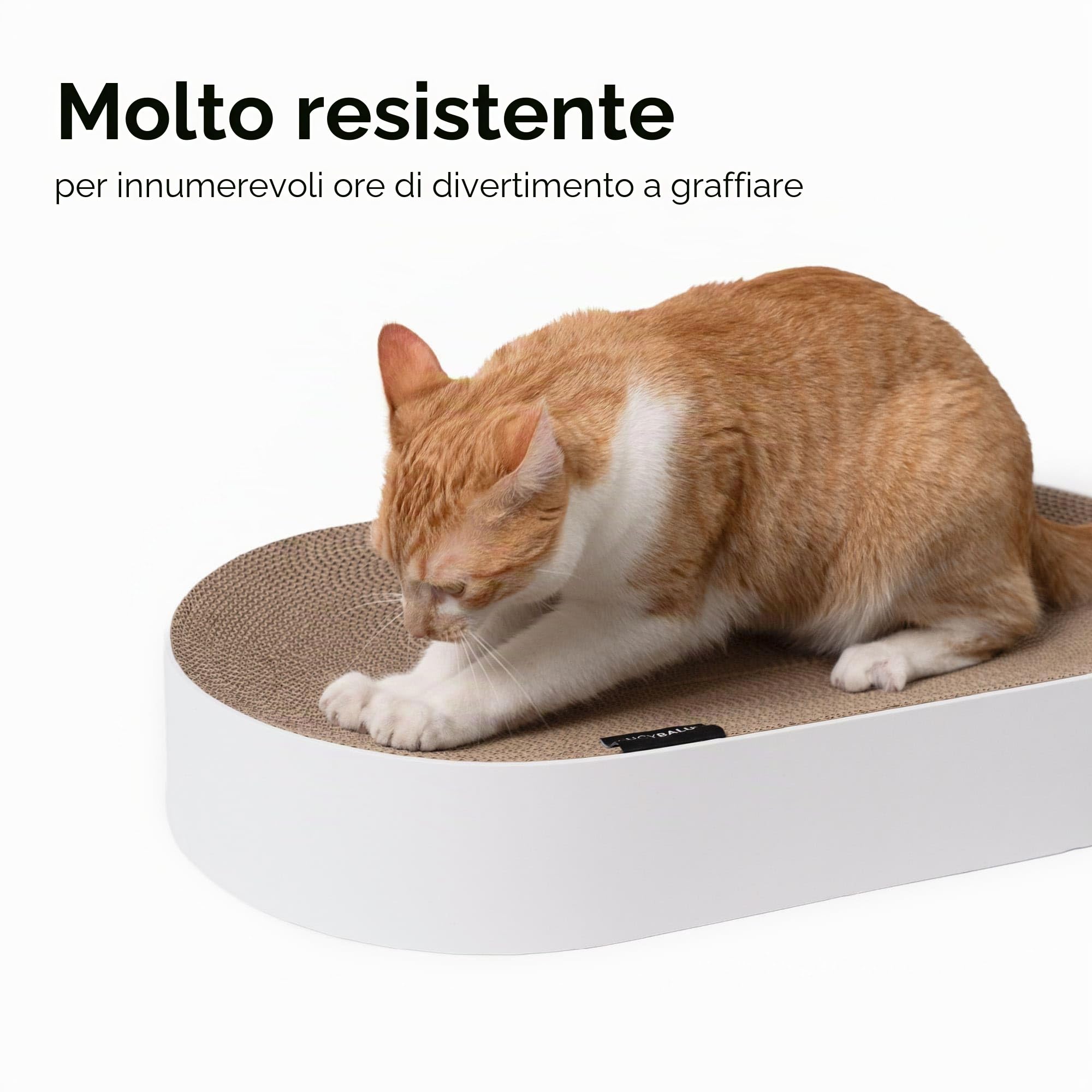 LucyBalu® Scratchbed Lettino tiragraffi per gatti in cartone I Beige