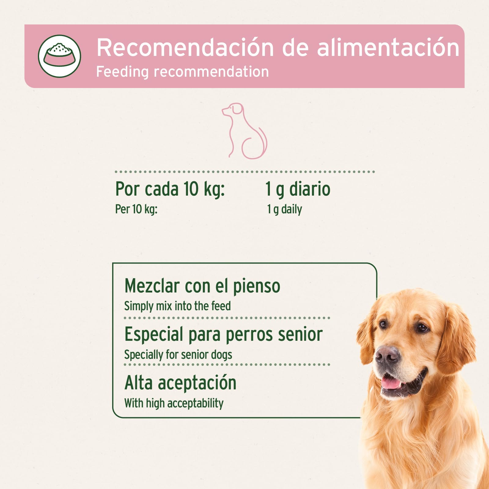AniForte Senior Active en Polvo 250 g para Perros Mayores - minerales y vitaminas para Perros, Ayuda a la Memoria y a la función cardíaca, mejillón de Labios Verdes para la vitalidad y la Agilidad