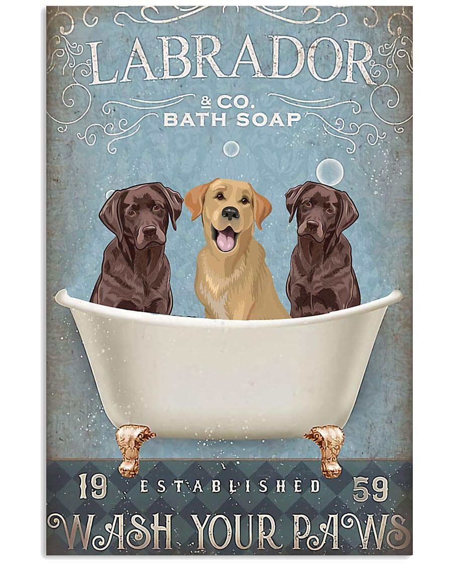 How Do You Wash A Labrador