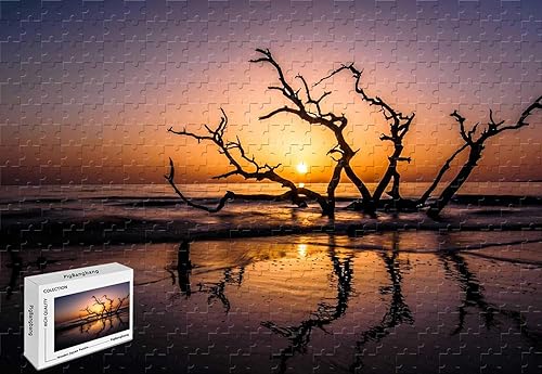 Rompecabezas de 500 piezas – Playa de madera flotante Jekyll Island Georgia imágenes artísticas coloridas brillantes de 20.6 x 15.1 pulgadas