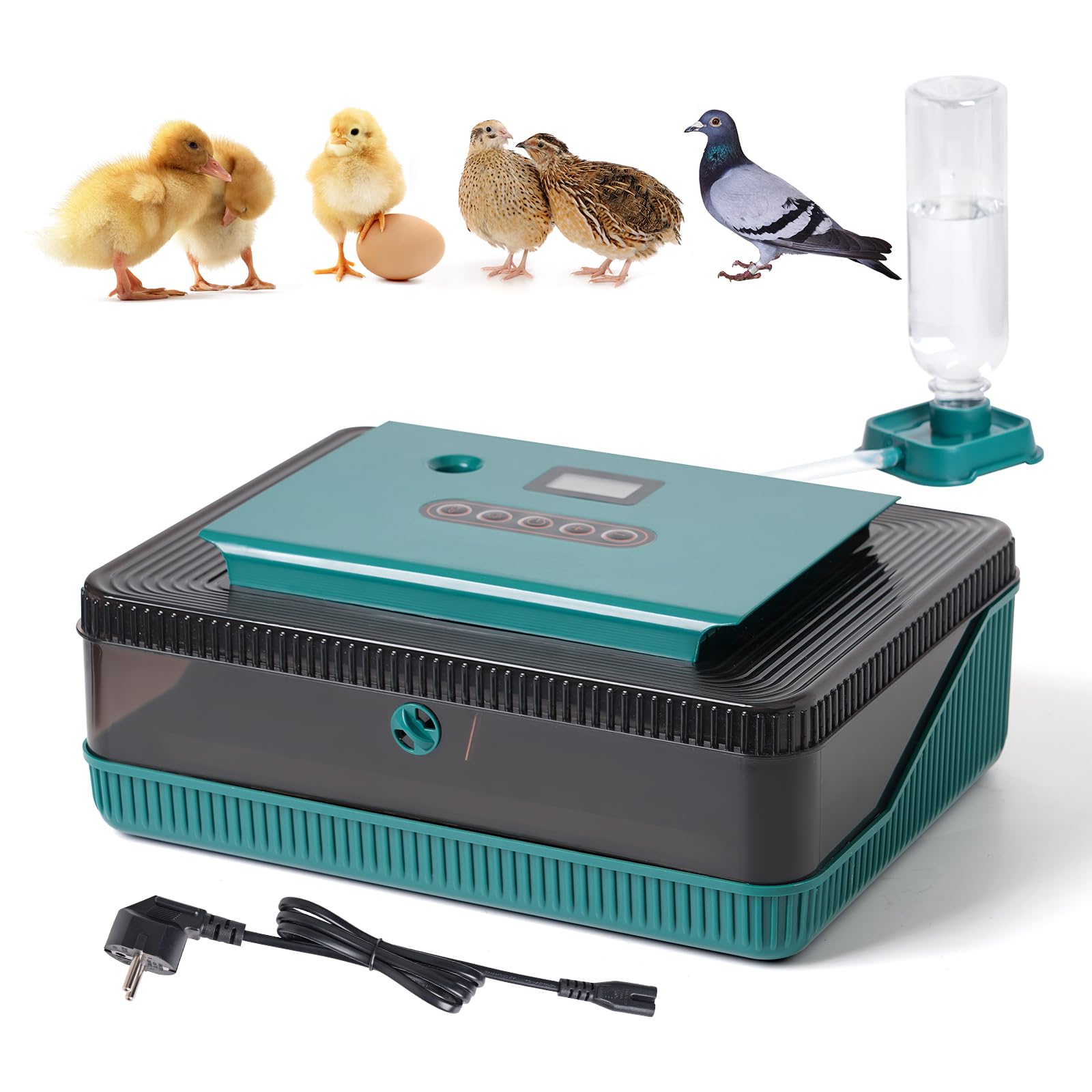 25 Couveuse à œUfs Avec Retournement Automatique des œUfs et ContrôLe ee L'Humidité, Couveuse à Volailles pour L'Incubation des œUfs de Poule, de Canard et de Caille