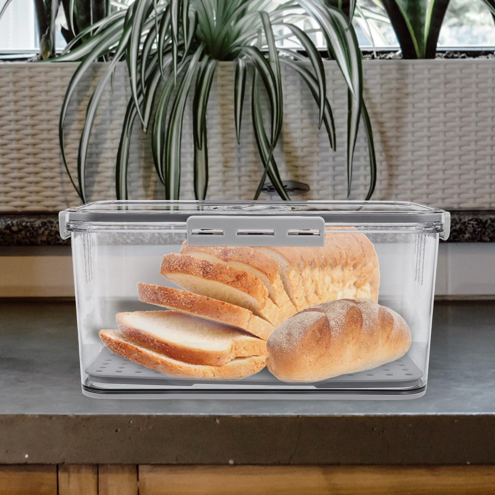 SHINEOFI Contenedor de Alimentos para Refrigerador de 4 Cierres y Sello Hermético, Caja de Pan Gris H-7005 con Dial Temporizador, Almacenamiento de Frutas y Verduras, Organizador