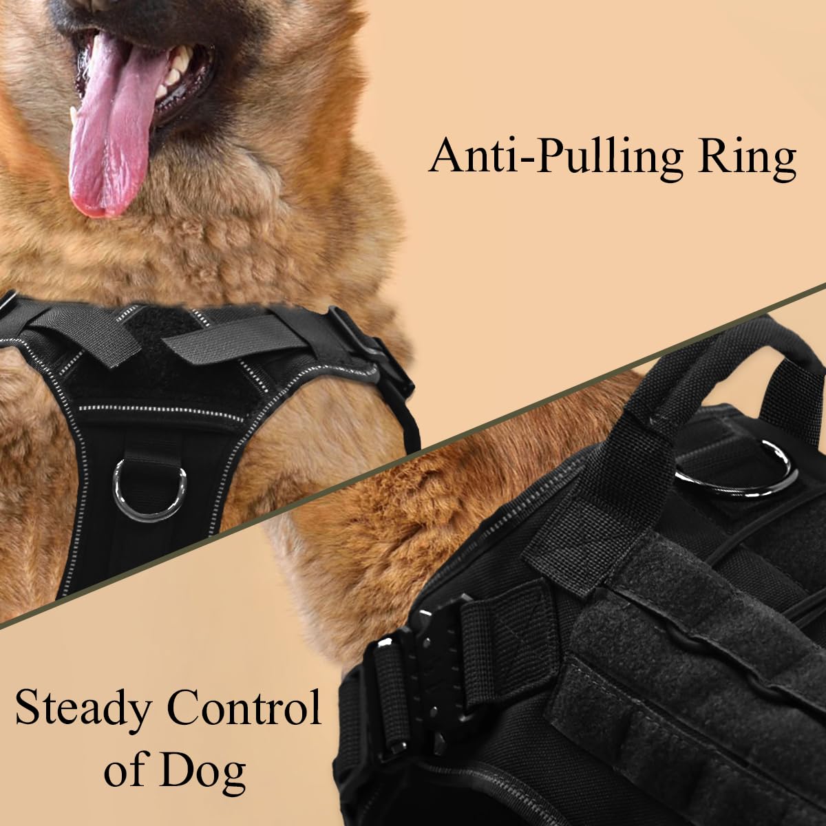 Pettorina Tattica per Cane, 3 Taglie, con MOLLE, Fibbia in Metallo, Resistente Nylon, Traspirante e Regolabile (M)