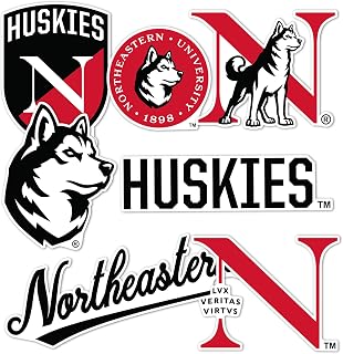 Desert Cactus Northeastern University Sticker Huskiesr Vinyl Decals Laptop Water Bottle Car Scrapbook Sheet T2 (Type 2-2)