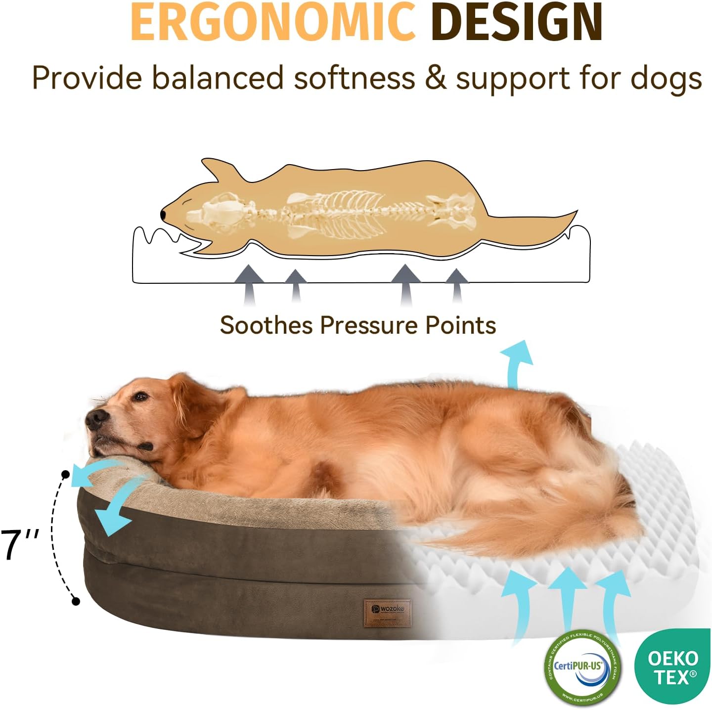 Ultimate Comfort: Review of the Orthopedic Waterproof Large Dog Bed