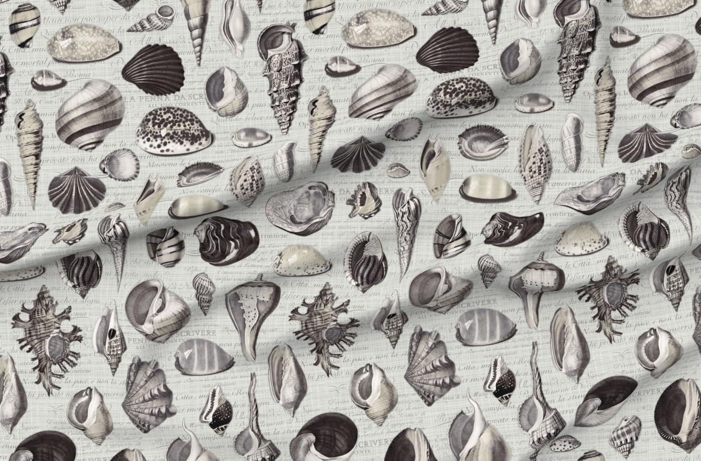 Spoonflower Fabric - Vintage Beach Coastal Marine Nautical Ammonite Shell Fossil Print Printed on Petal Cotton Fabric Fat Quarter - Sewing Quilting Apparel Crafts Decor