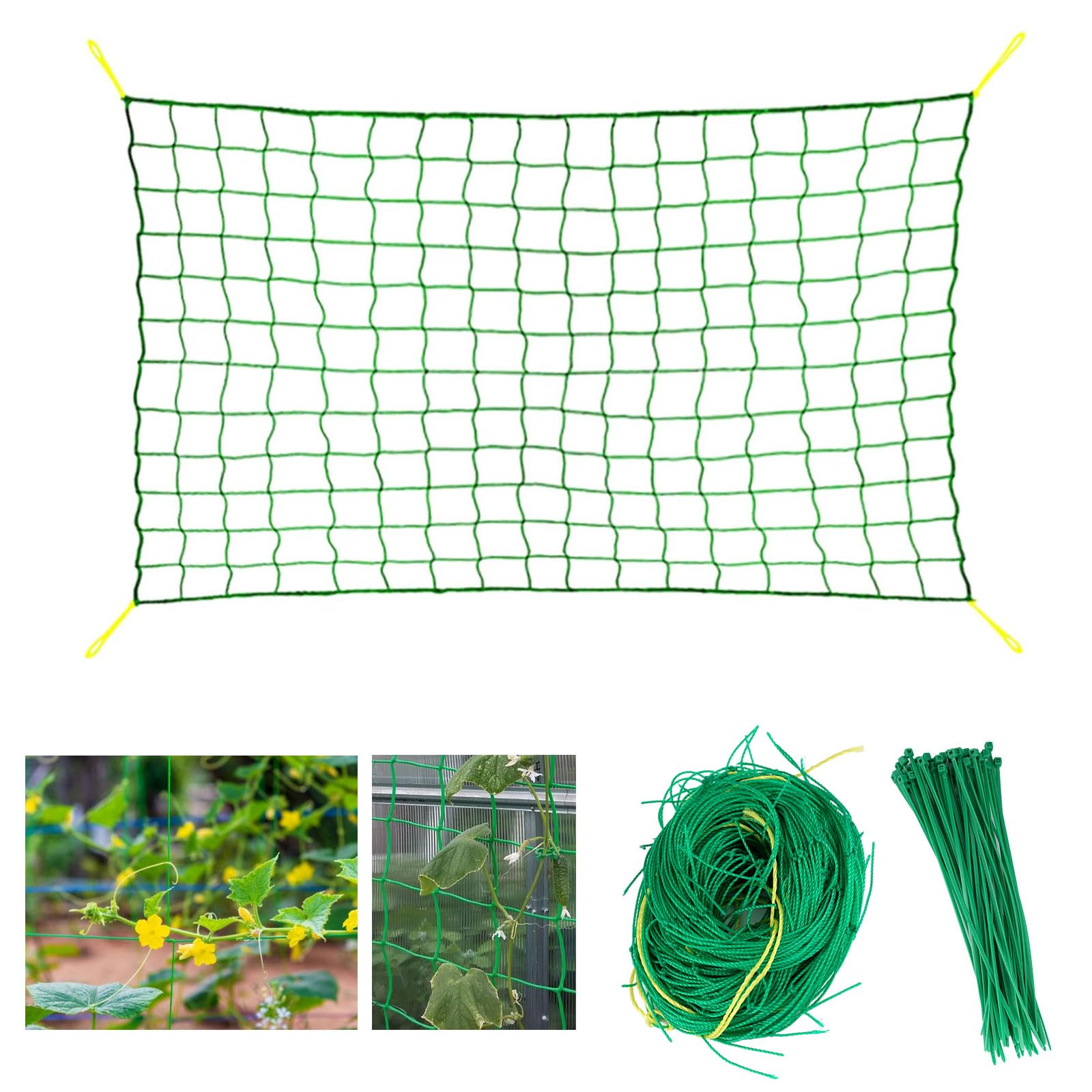 Rete per piante rampicanti, 2,5 x 2 m, rete per cetrioli con 50