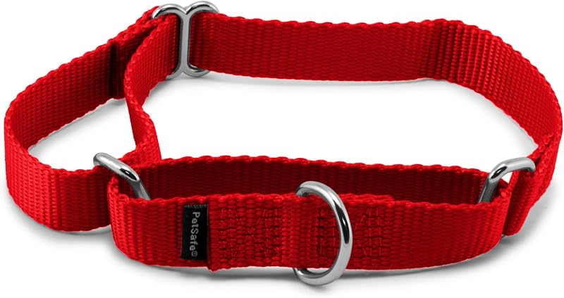 Coleira Martingale para Cães PetSafe em Nylon Vermelho, 1,9 cm, Tamanho Médio