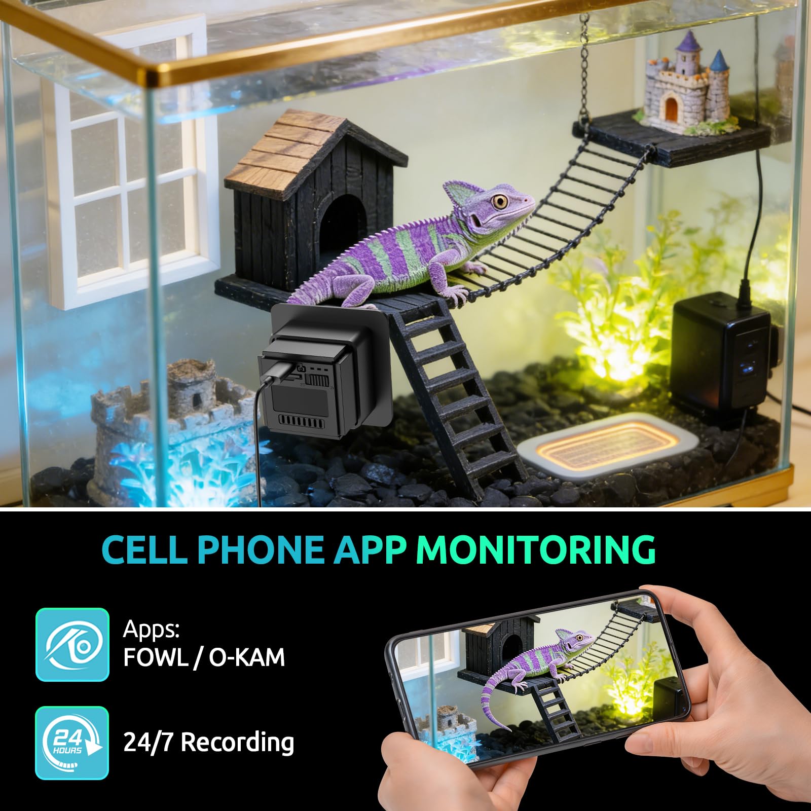 JAOGAUS Cámara de Acuario,Cámara WiFi para Mascotas, Terrario 2K HD, Gran Angular de 140°, grabación de 24 Horas para Peces y Reptiles.