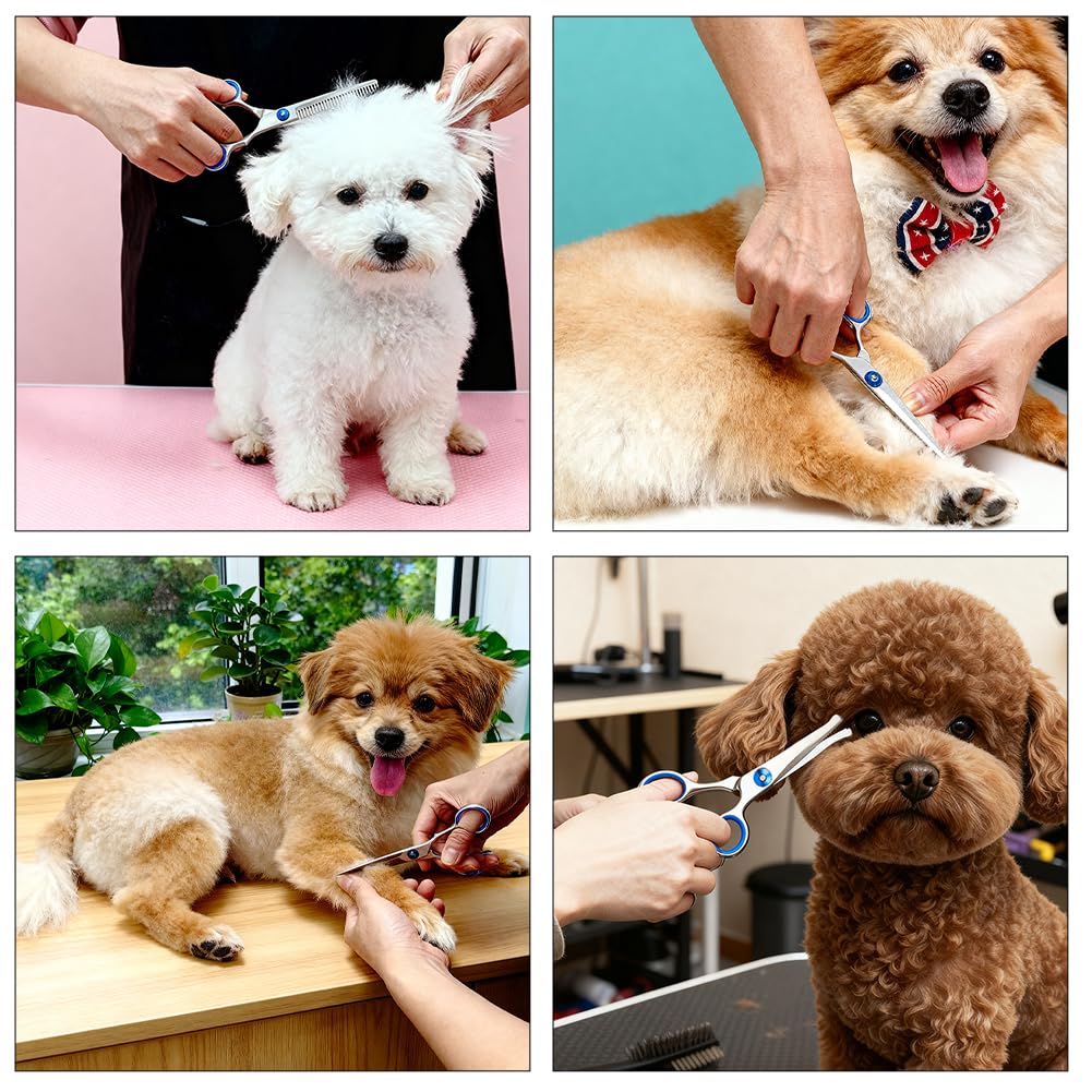 Ciseaux Toilettage Chien Professionnel, Ciseaux Toilettage Chien de Compagnie pour Animaux avec Pointe Ronde de Sécurité Ciseau Droit en Acier pour Chats Chiens et Autres Animaux