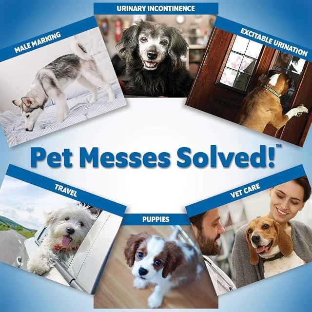 Foto 7 de 7 de OUT! Pañales Desechables para Perros Machos, Absorbentes con Ajuste a Prueba de Fugas M/L - Paquete de 10