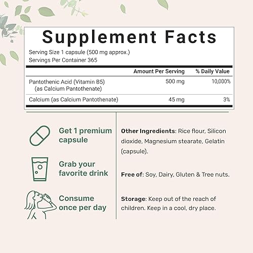 Miniatura 2 de Micro Ingredients Suplemento de vitamina B5 de ácido pantoténico, vitamina B5 500 mg por unidad, 365 cápsulas (suministro de 1 año), vitamina del