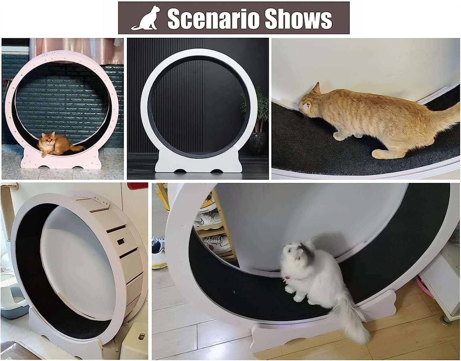 Amazon | キャットホイール 猫 回し車 猫 ランニングホイール