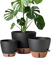 Montresor 12/10/8 Inch Self-Watering Pots for Indoor Outdoor Plants - Black Plastic Planters with Water Window, Drainage Tray & Reservoir