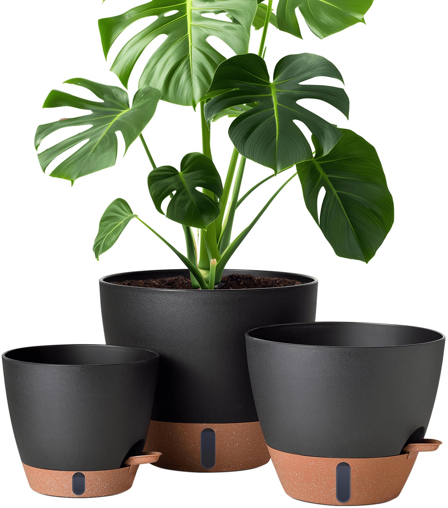 montresor Self-Watering Pots
