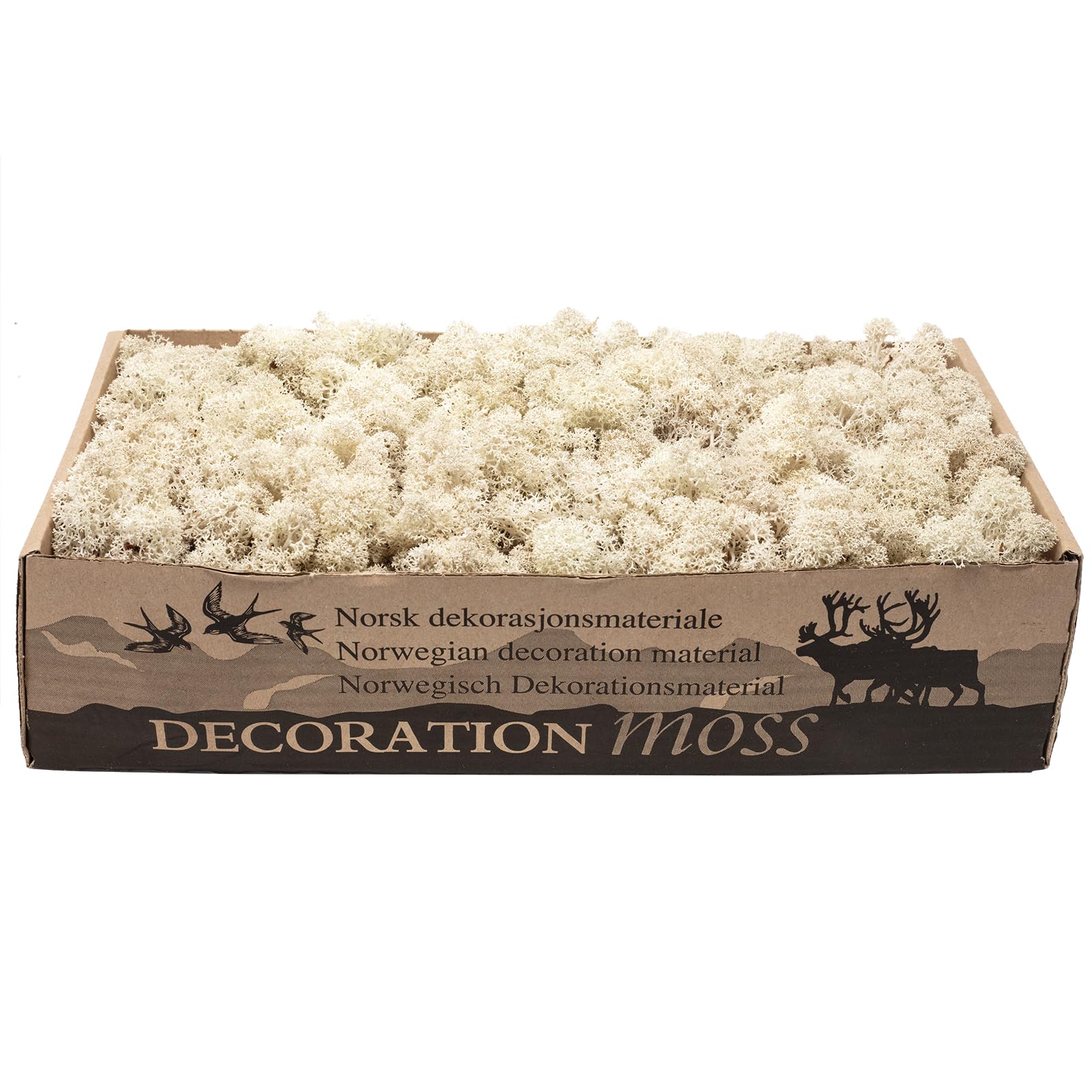 Cartone di muschio islandese naturale, 500 g