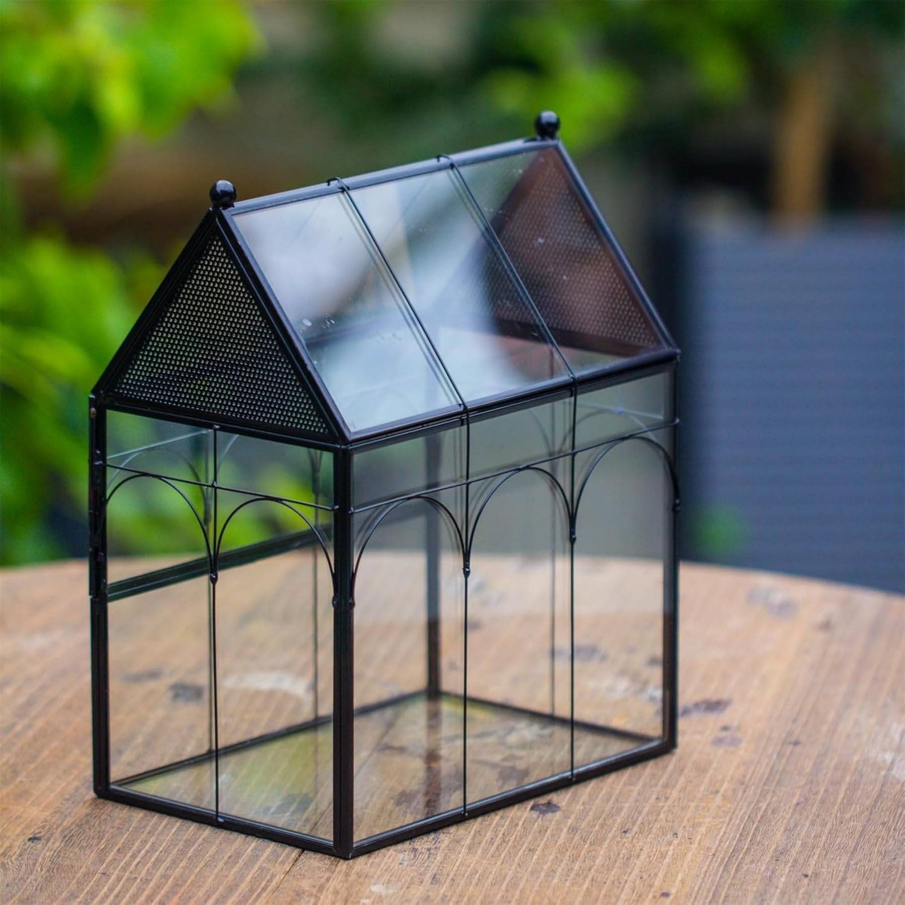 NCYP 19x12,5x23 cm Glasgehäuse mit Belüftungslöchern für Insekten, Spinnen, schwarz kleine geschlossene in Hausform mit vorne öffnende Tür (Ohne Pflanzen und Requisiten)