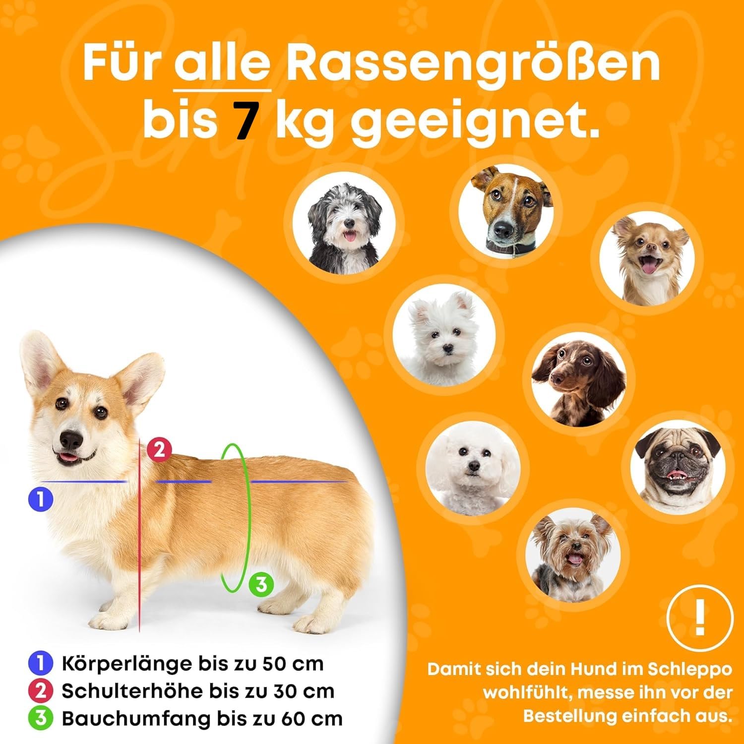 Hunderucksack bis 7kg | Rucksack für Hunde | Extrem hoher Atmungsaktiver Hunde Rucksack zum Wandern, Nahverkehr & Co | Transport-Rucksack Wasserdicht (Rot, Einheitsgröße)