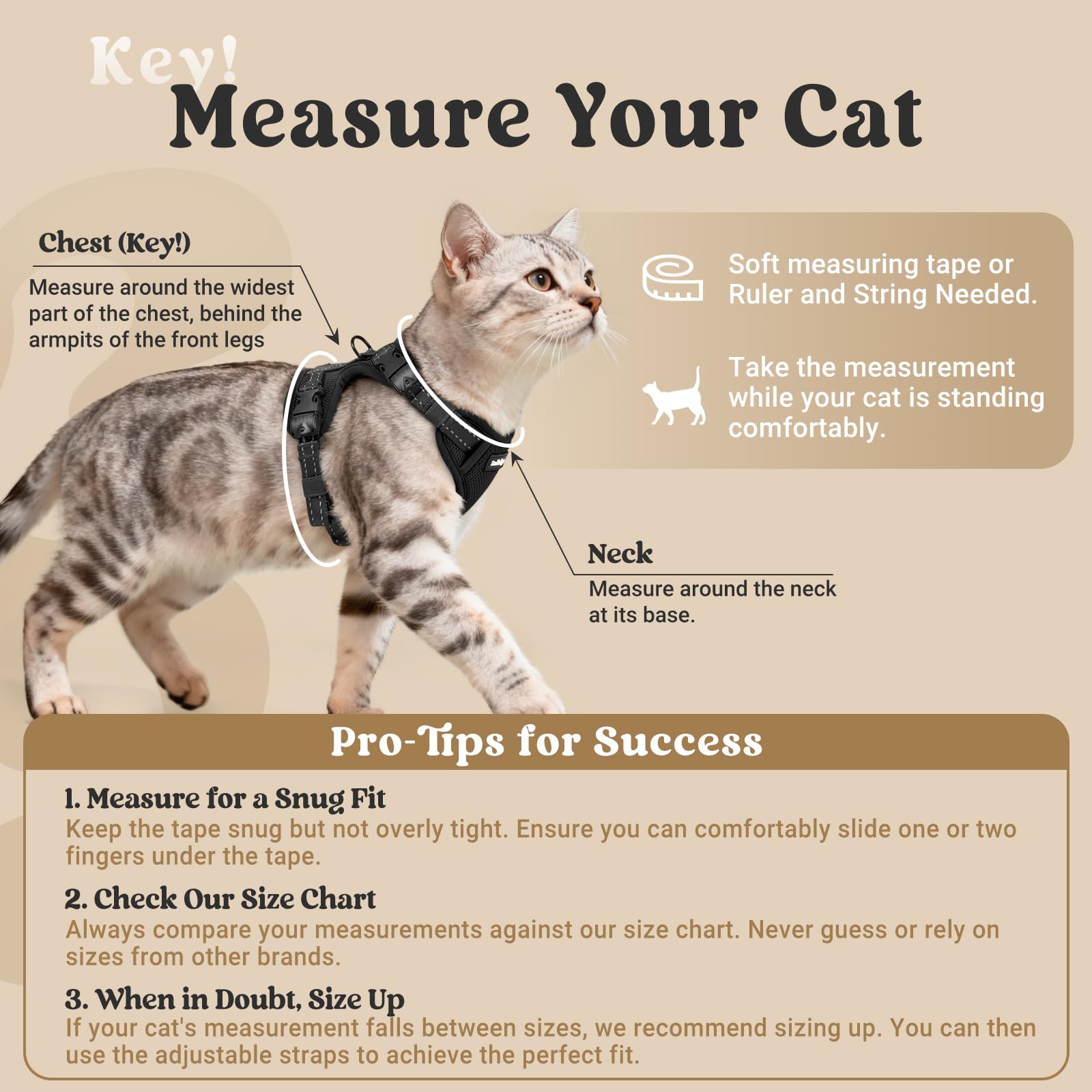 rabbitgoo Cat Harness and Leash, Escape Proof Vest with 3 Adjustable Buckles, Soft Comfortable Kitten Harness, Easy to Wear, Reflective for Safe Outdoor Walking, Medium, Black - 2