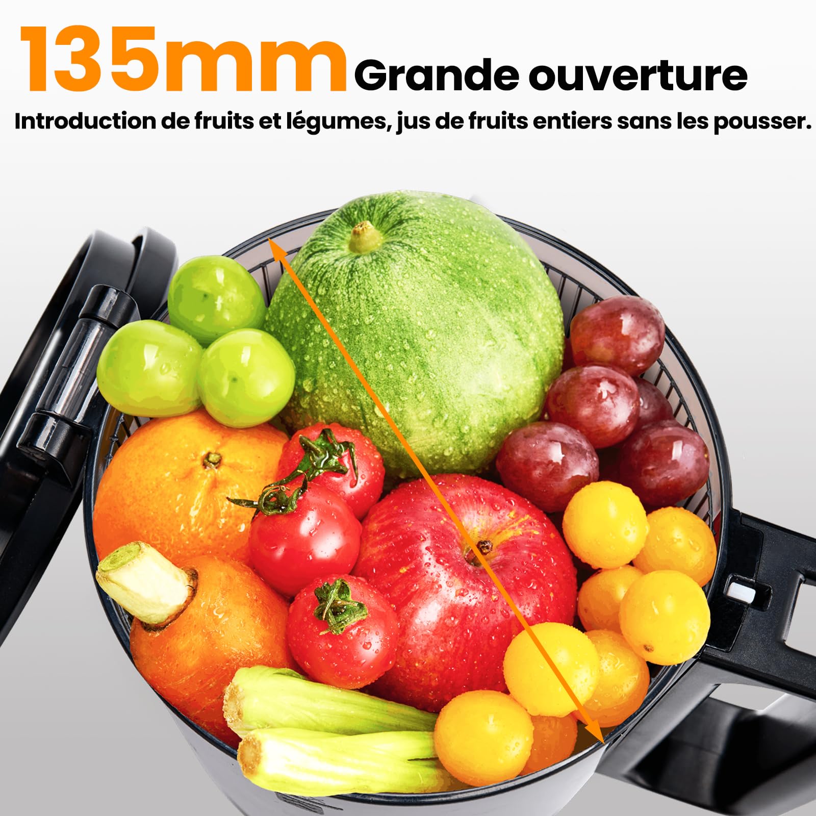 Extracteur de Jus de Fruits et Légumes, Ouverture de 13.5cm capacité de 2L Machine a Jus de Fruit, Slow Jucier Facile à installer, Gris